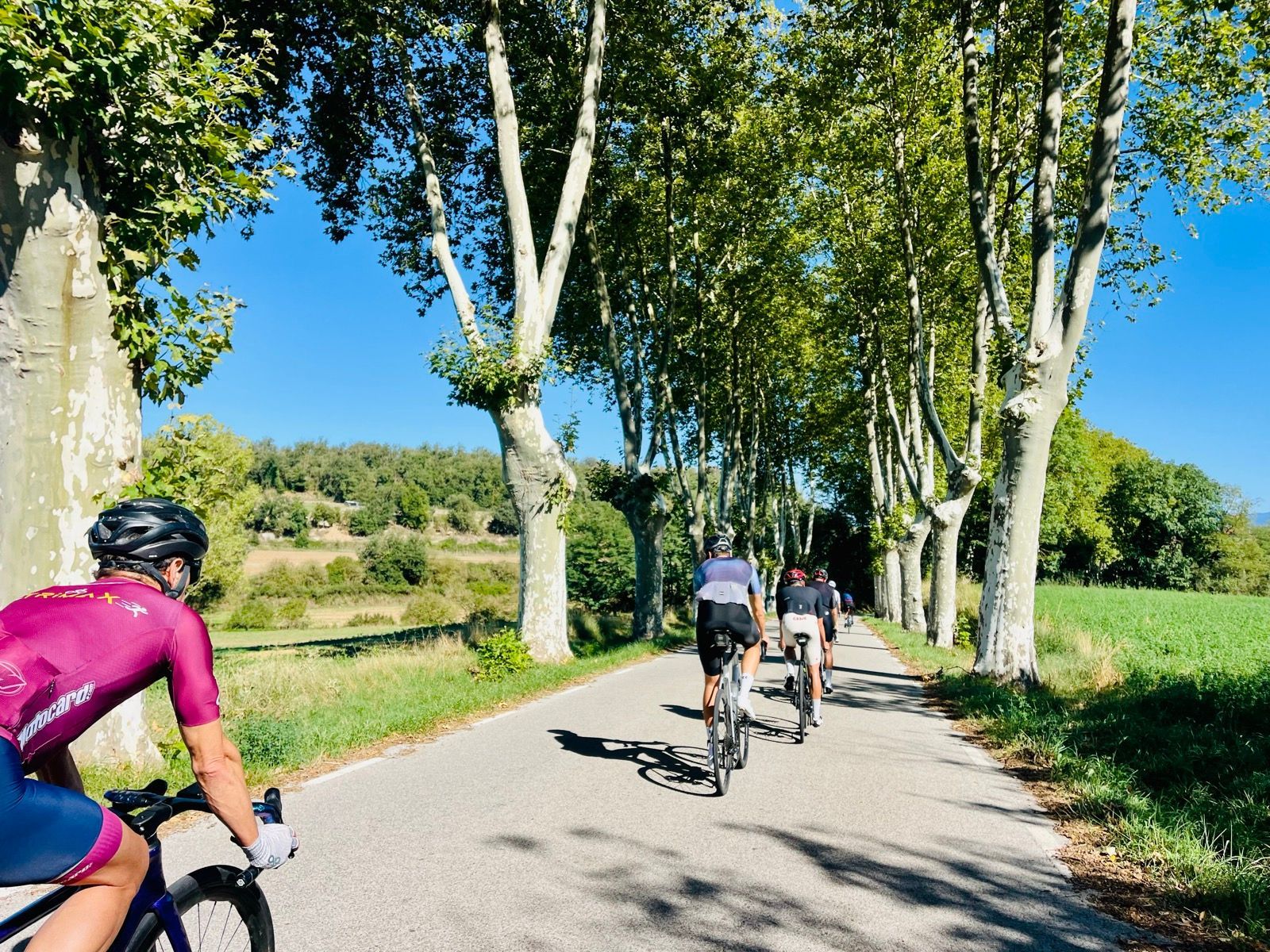 Grupo de triatletas rodando en fila por una carretera arbolada de Girona durante una salida de base